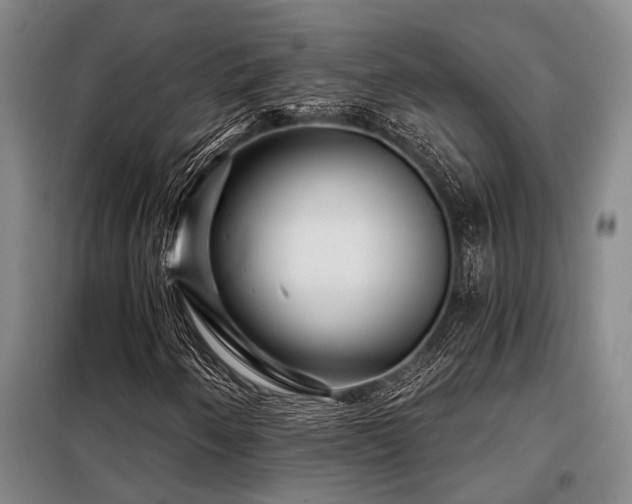 X0000098151250200804171604