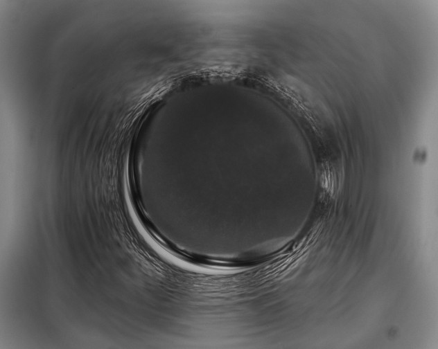 X0000098151252200804171604