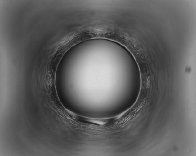 X0000098151253200804171604