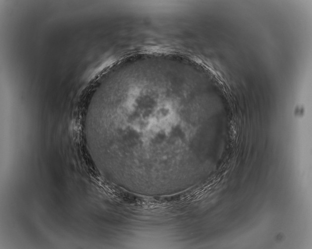 X0000098151254200804171604