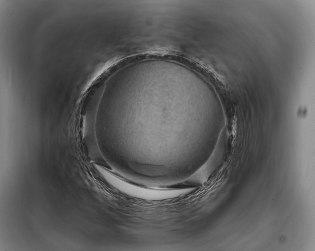 X0000098151256200804171604