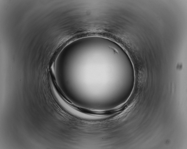 X0000098151257200804171604