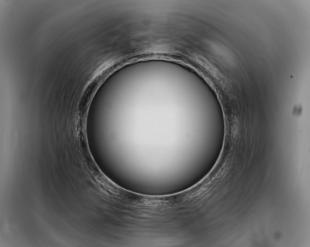 X0000098151258200804171604