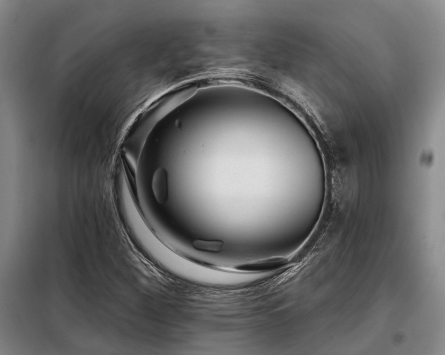 X0000098151260200804171604