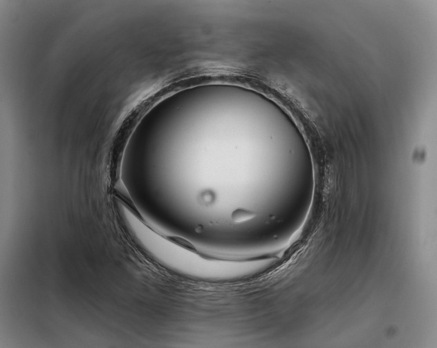 X0000098151261200804171604