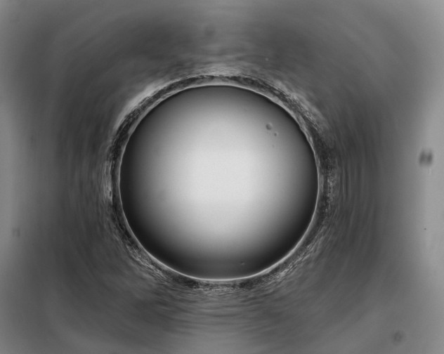 X0000098151262200804171604