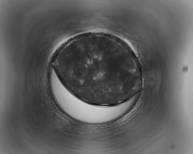 X0000098151263200804171604