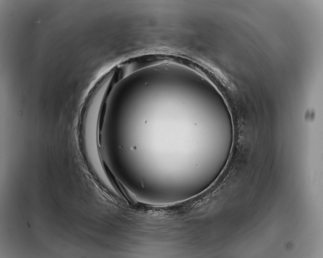 X0000098151264200804171604