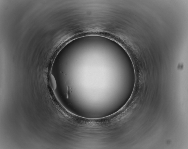 X0000098151265200804171604