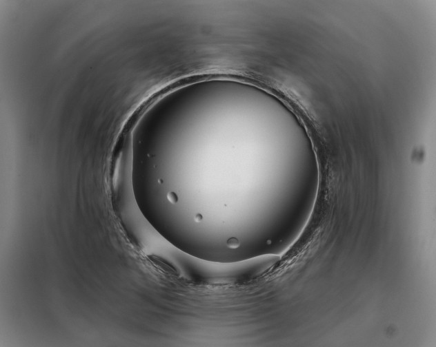 X0000098151268200804171604