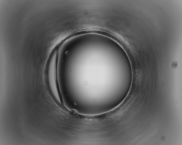 X0000098151269200804171604