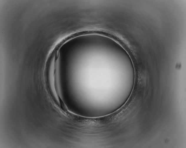 X0000098151270200804171604