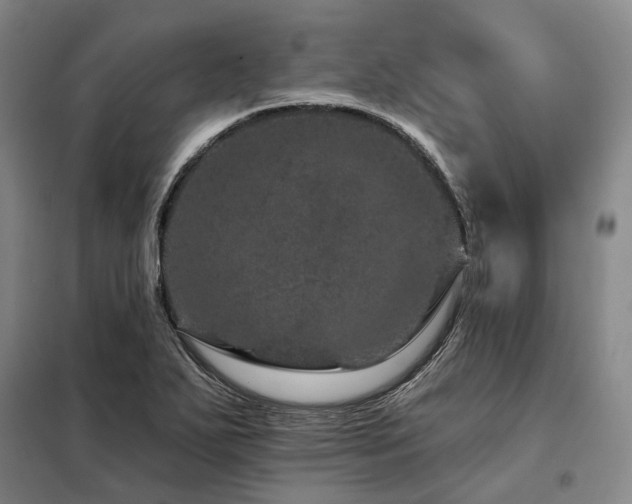 X0000098151271200804171604