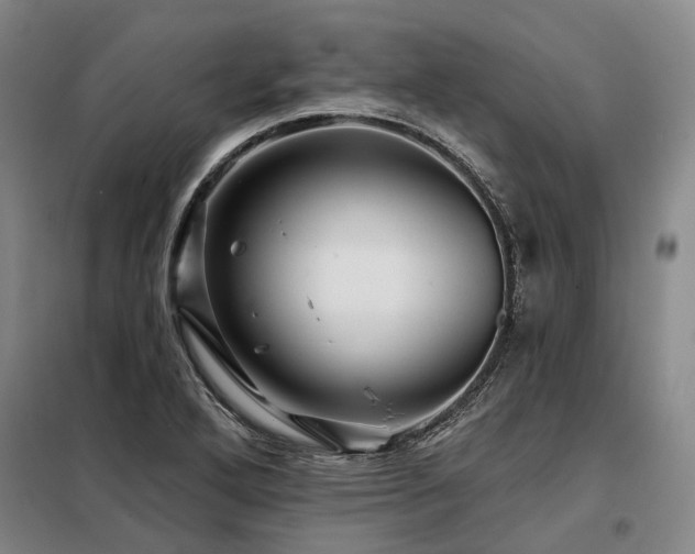 X0000098151272200804171604