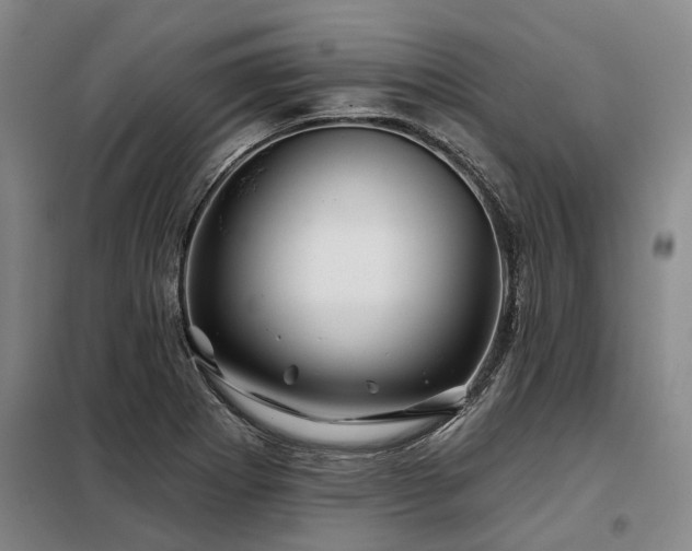 X0000098151273200804171604