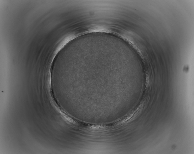 X0000098151274200804171603