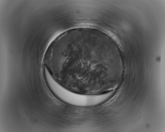 X0000098151275200804171603