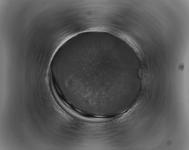 X0000098151276200804171603