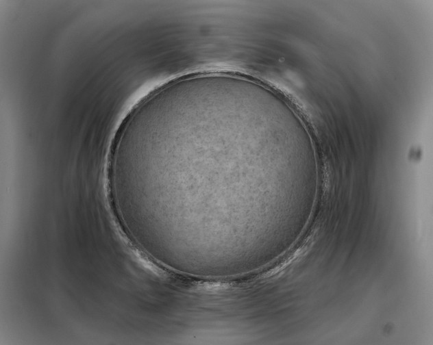 X0000098151278200804171603