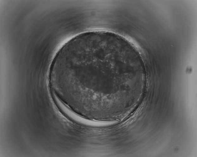 X0000098151279200804171603