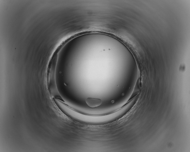 X0000098151280200804171603