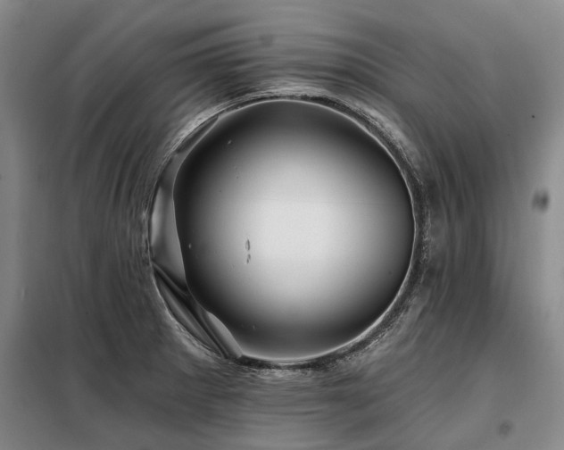 X0000098151281200804171603
