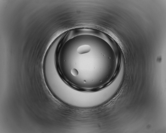 X0000098151283200804171603