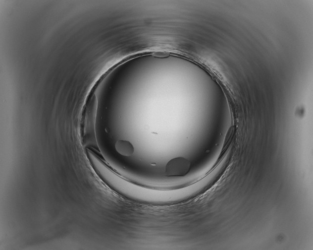X0000098151284200804171603