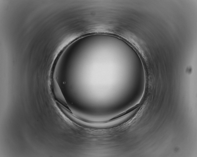 X0000098151285200804171603