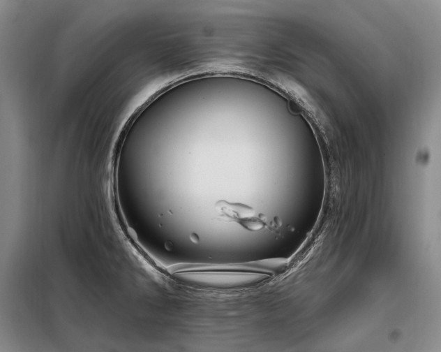 X0000098151286200804171603