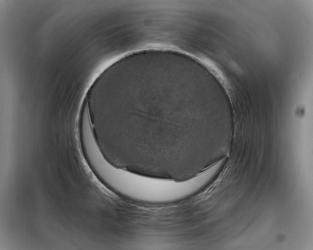 X0000098151287200804171603