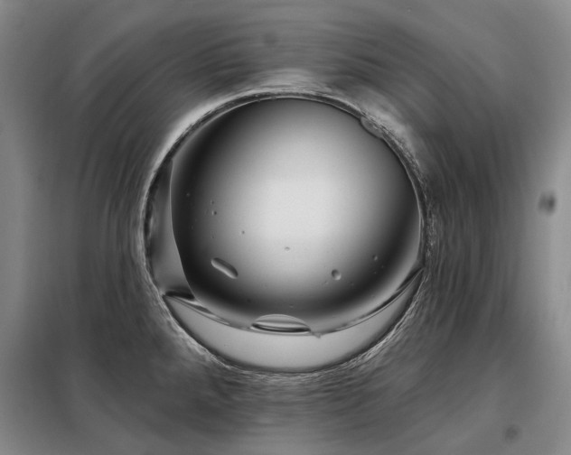 X0000098151288200804171603
