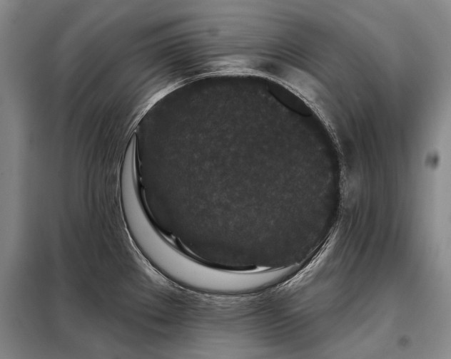 X0000098151289200804171603