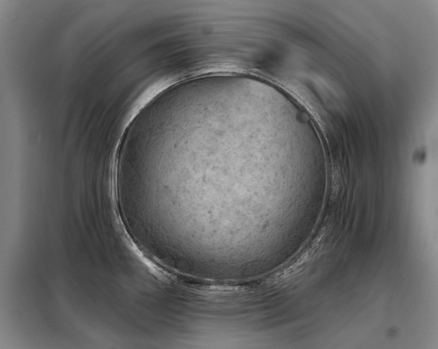 X0000098151290200804171603