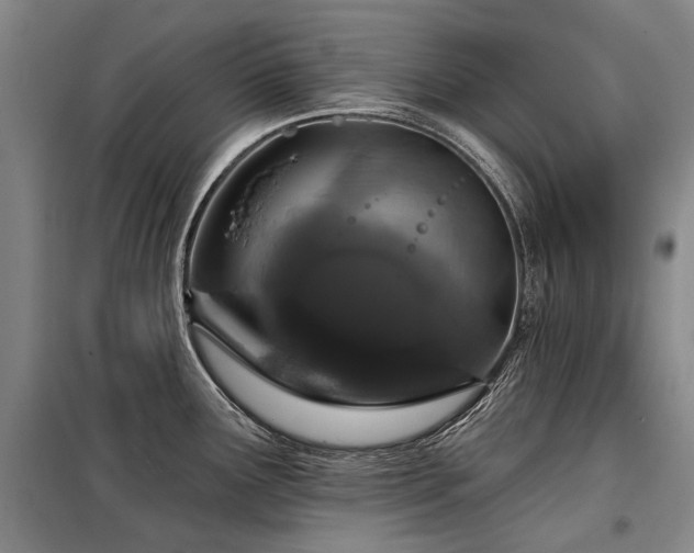 X0000098151291200804171603