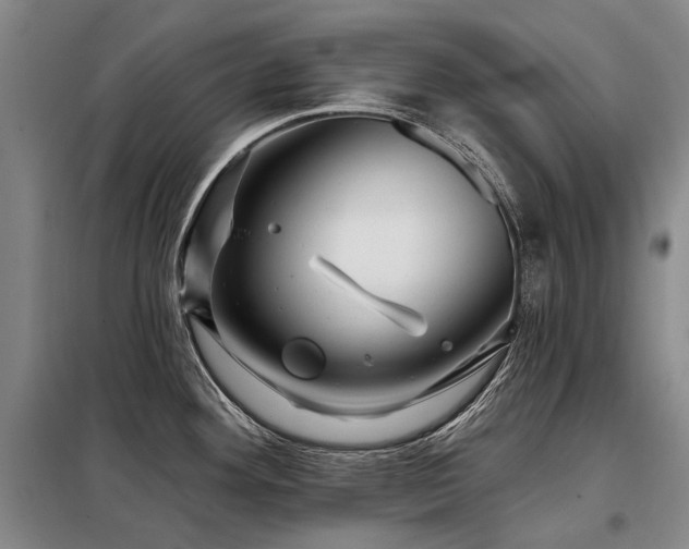 X0000098151292200804171603