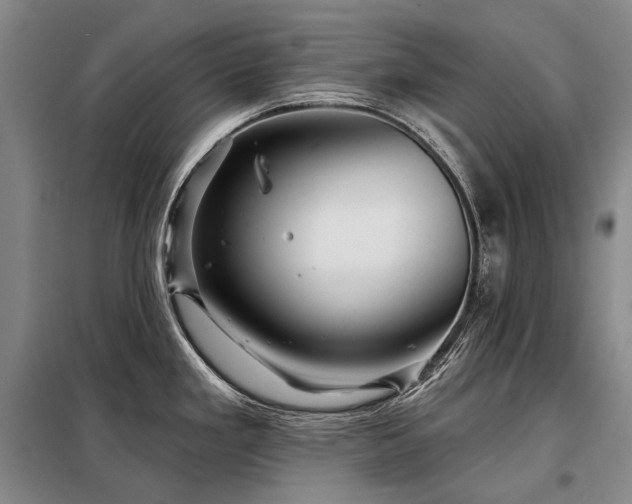 X0000098151293200804171603