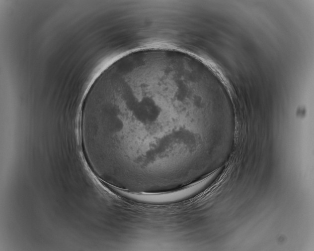 X0000098151295200804171603