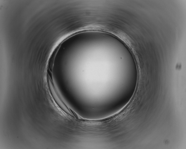 X0000098151296200804171603