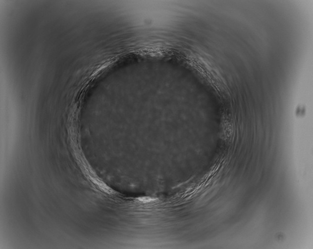 X0000098151297200804171602