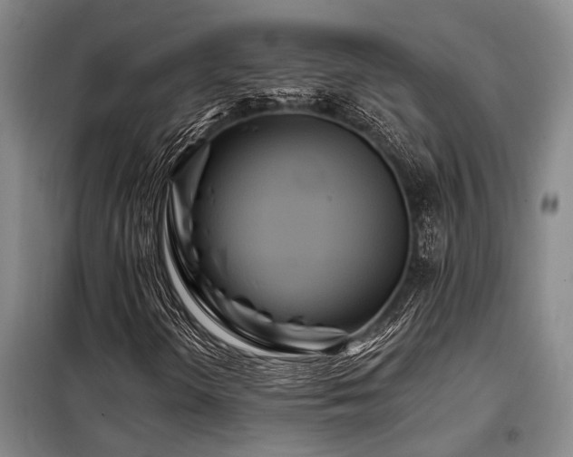 X0000098151298200804171602