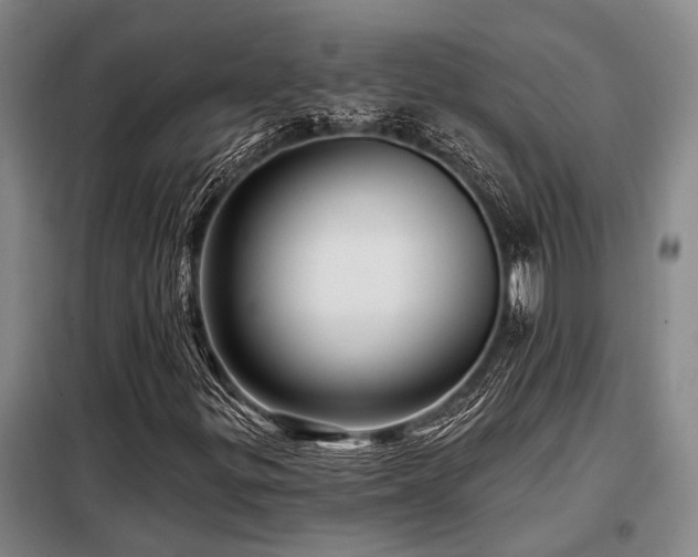 X0000098151299200804171602