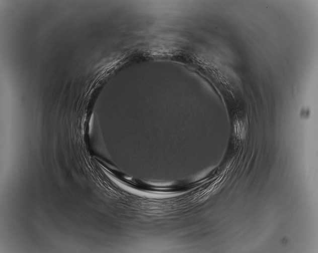X0000098151300200804171602