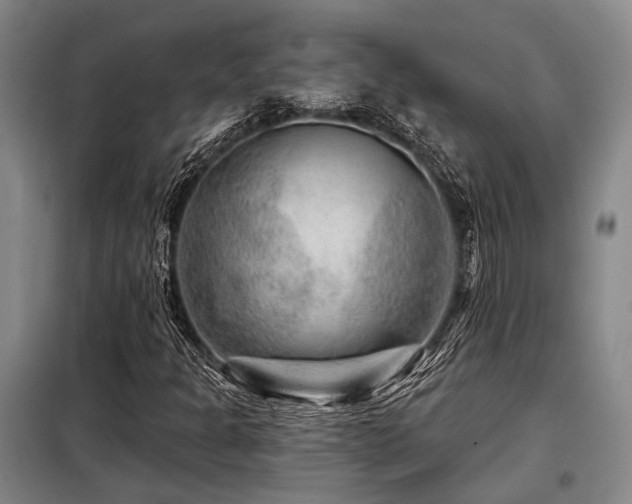 X0000098151301200804171602