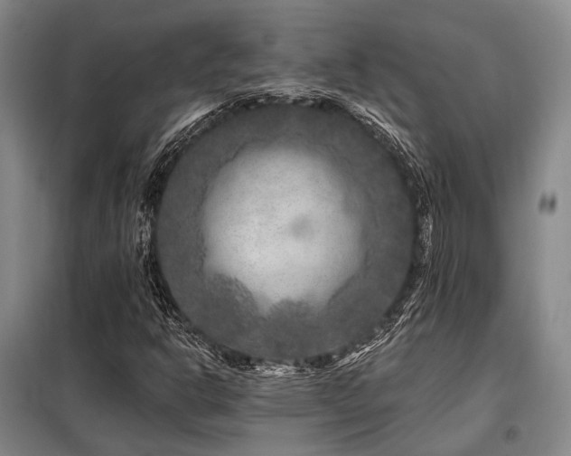 X0000098151302200804171602