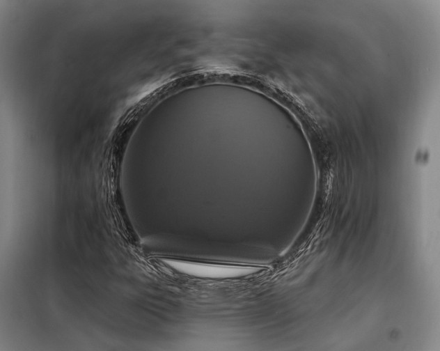 X0000098151303200804171602