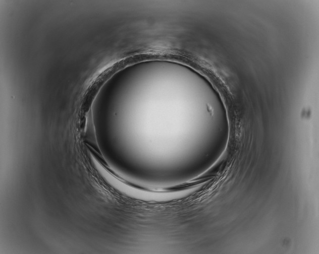X0000098151304200804171603