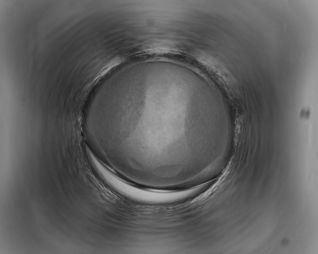 X0000098151305200804171603