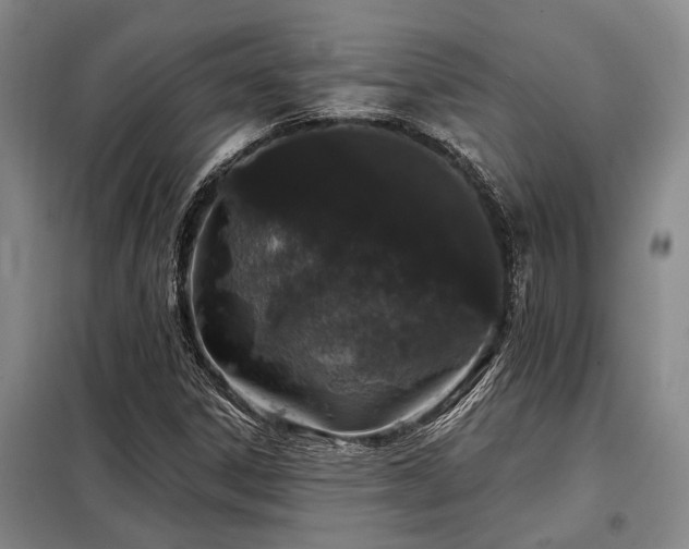 X0000098151306200804171603