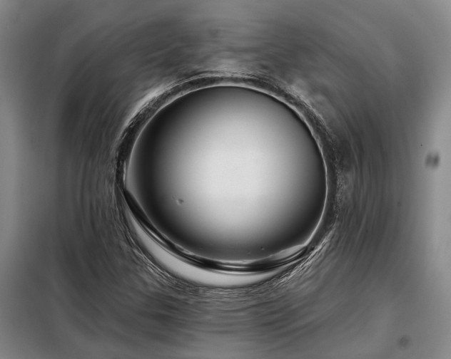 X0000098151307200804171603